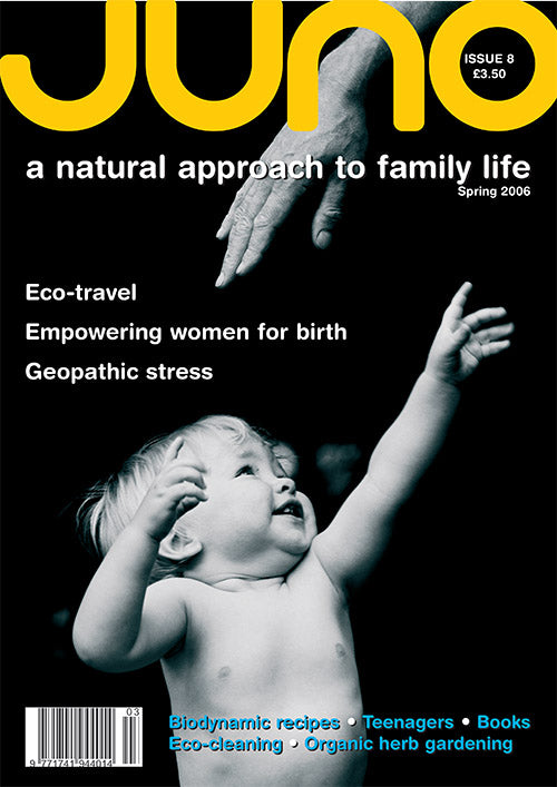 Issue 8 - Spring 2006