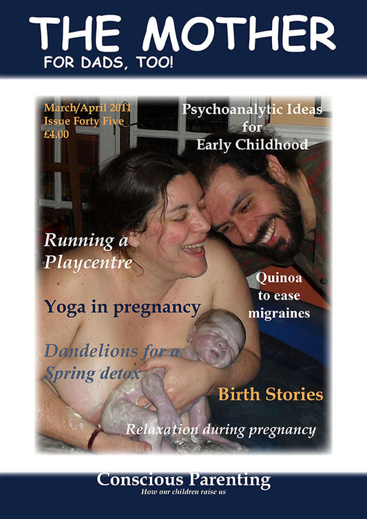 The Mother - Issue 45