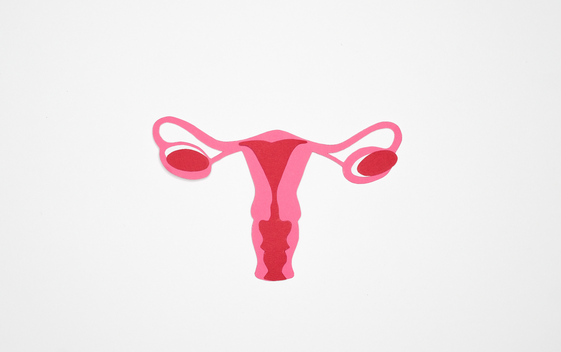 Empowered Birth: the miracle that is the uterus