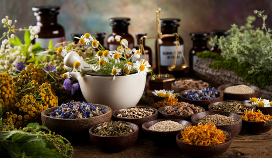 Medicine Making: The Art of Herbal Remedy Creation