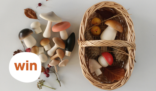 Win a Moon Picnic Forest Mushrooms Basket from Binky Shop!