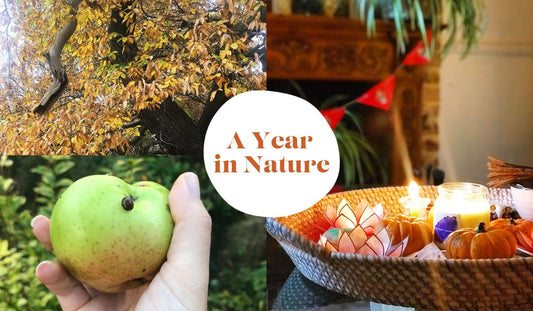 A Year in Nature: Autumn