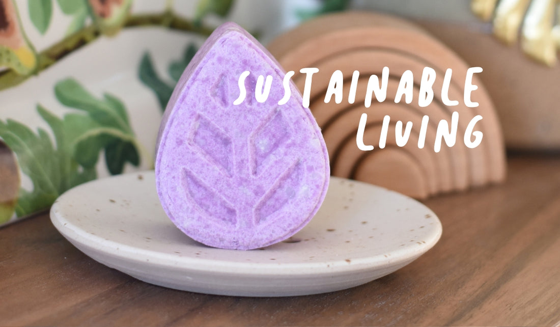 Reviews: sustainable living