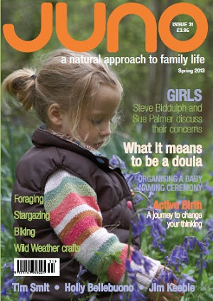 Issue 31 - Spring 2013