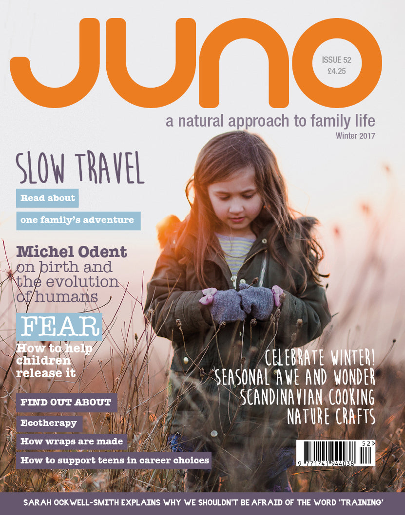 Issue 52 - Winter 2017